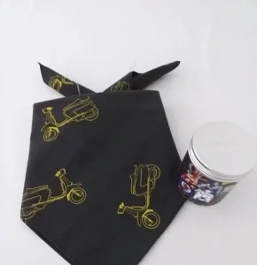 CH025000-2CanwithNeckScarf_Black_470x486_crop_top